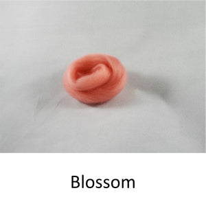 Wool top, Merino 21 micron, Colour: Blossom